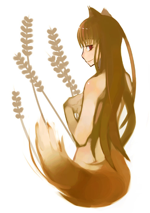    . Anime Art, , Spice and Wolf, Horo, Holo