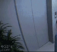 И ещё несколько беспощадных японских шоу... Спорт, Японские шоу, Гифка, Длиннопост
