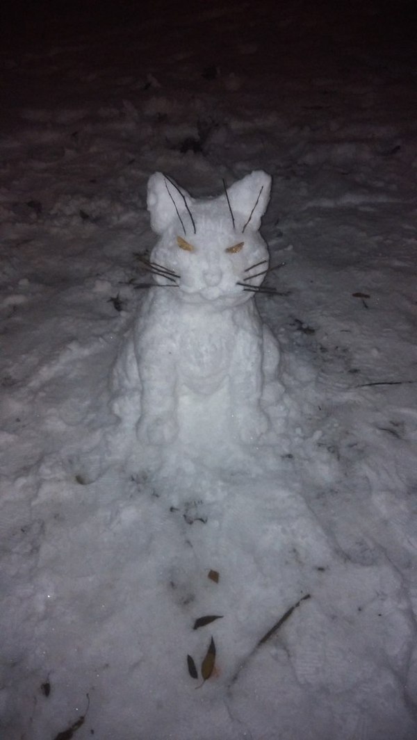 Снеговик-котэ