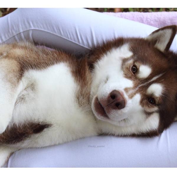 После новогодней ночи