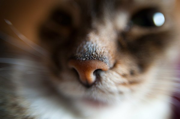 ���-�� ��� ������� ��� ����� �� �����, ��� ��� ����� 16�� + 3 ����������� �� ��