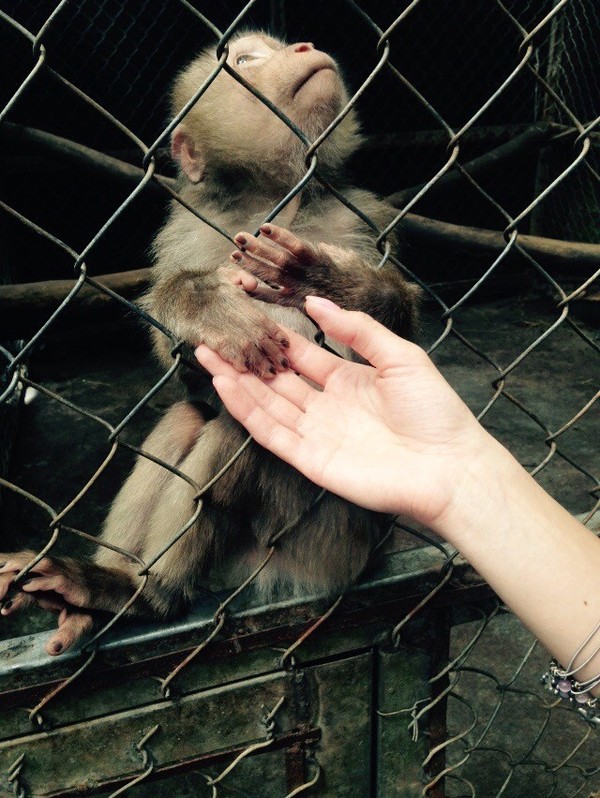 Без комментариев