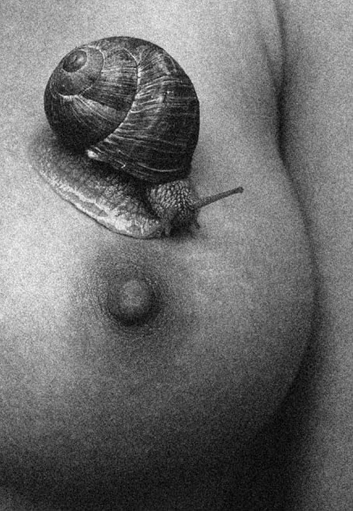 Snail on the slope - NSFW, Strawberry, Breast, Snail, Black and white, Art