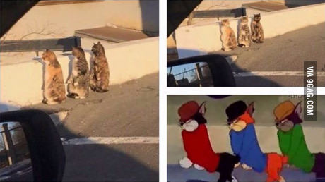 Они существуют