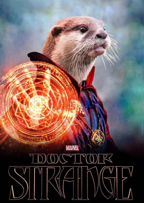 ��������, ��� �� �������?