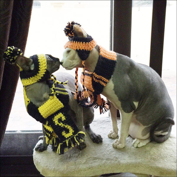 Когда дома холодно | Пикабу