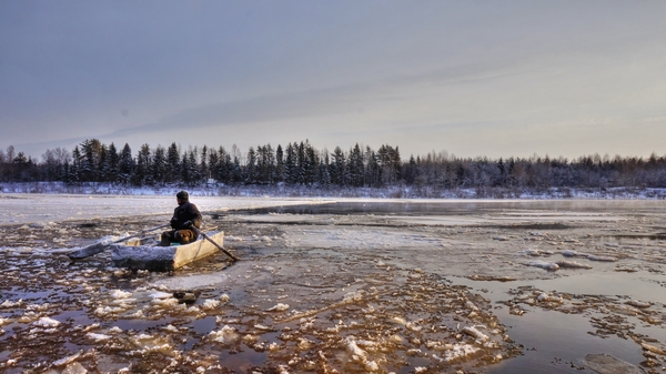 ���������, ���������! ����� �����, ����� ������, ���� ��������, ������ ����...