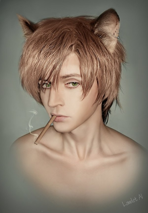 Neko kun