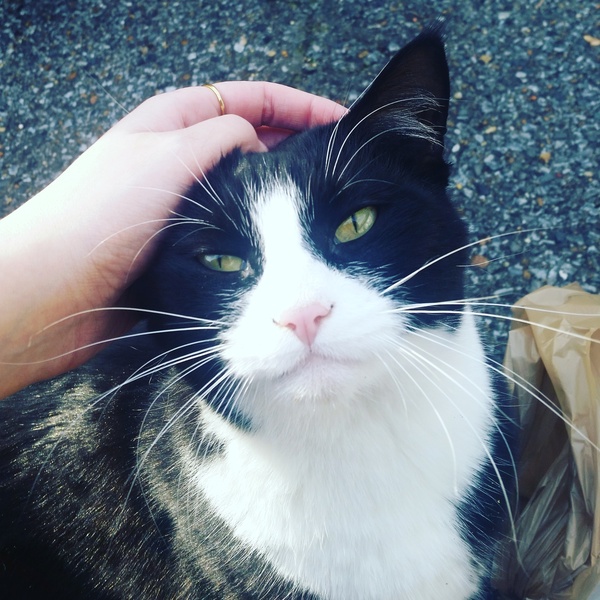 &quot;       ,        !&quot;