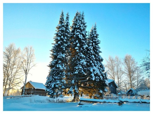  ,    .     -   .    100 .