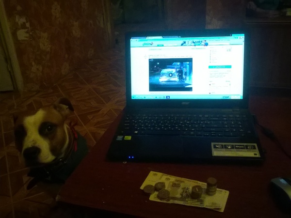 Курс выживания