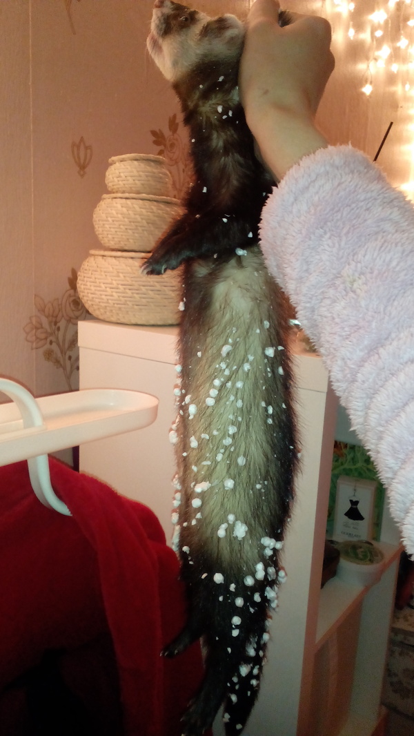 ��� �����, ���� �������� ������ �� 3 ������?