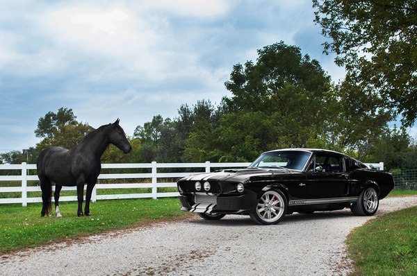 1968 Classic Recreations Shelby GT500CR , , , , , 