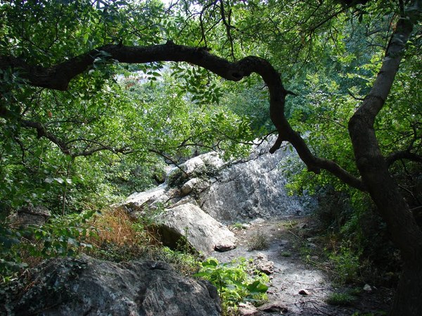 Лучшие места для отдыха с палаткой на берегу моря в Крыму Крым, Палатка, Отдых, Море, Длиннопост