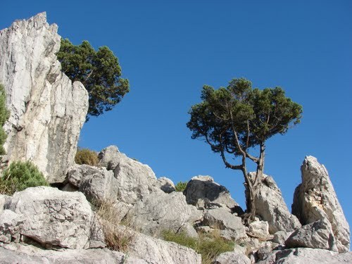 Лучшие места для отдыха с палаткой на берегу моря в Крыму Крым, Палатка, Отдых, Море, Длиннопост