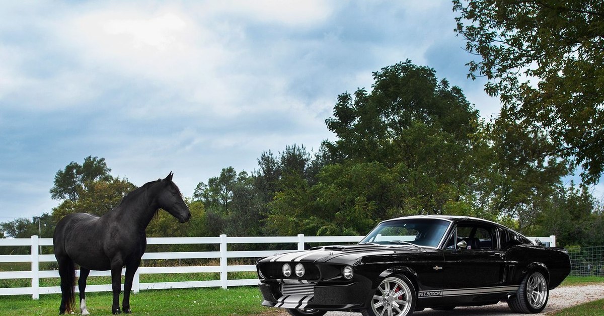 Найти лошадиные силы. Форд Мустанг Лошадиные силы. Ford Mustang Shelby 500cr. Форд Мустанг и лошадь Мустанг. Форд Мустанг жеребец.