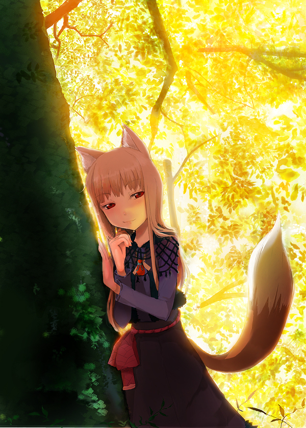 Horo/Holo - Anime Art, Аниме, Волчица и пряности, Horo Holo, Holo, Horo