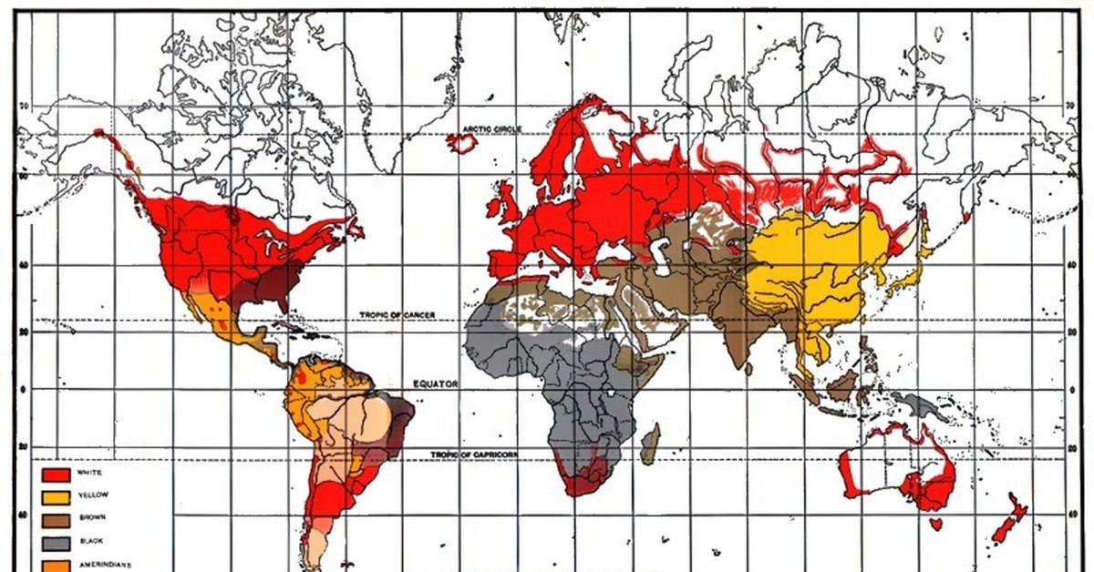 Ареалы рас. Карта человеческих рас. Расы людей на карте. Карта распространения рас на земле.