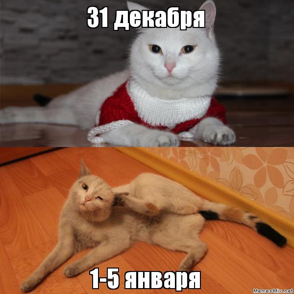    ) , , ,  