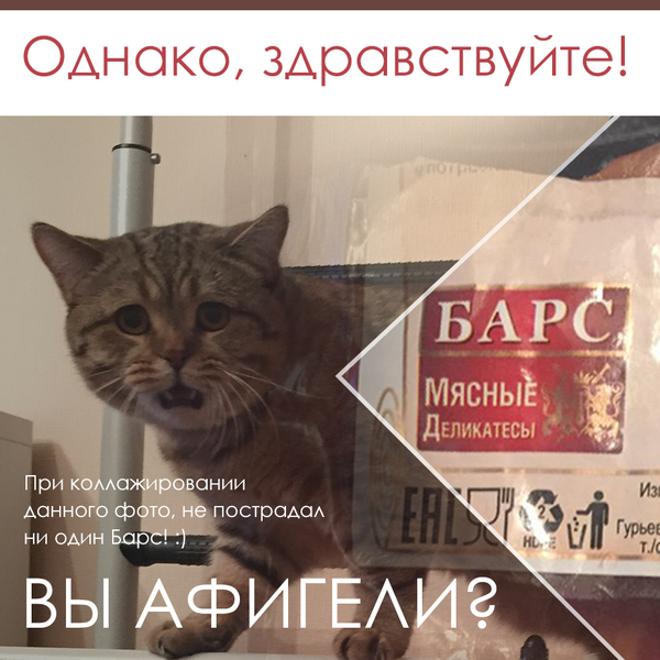 Однако, здравствуйте!