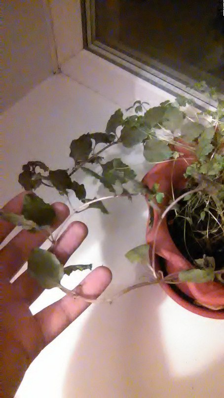 Маленький такой лайфхак