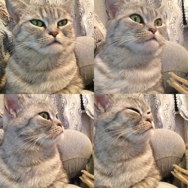 Когда узнала, что больше не выходишь в горячее на Пикабу