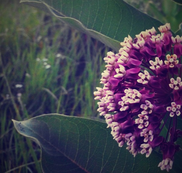 ������ �������� ������.