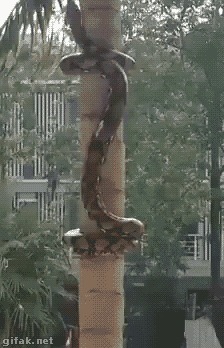   !