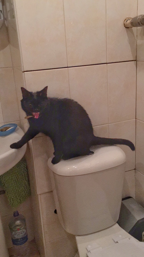 Отправляйся-ка ты в ад