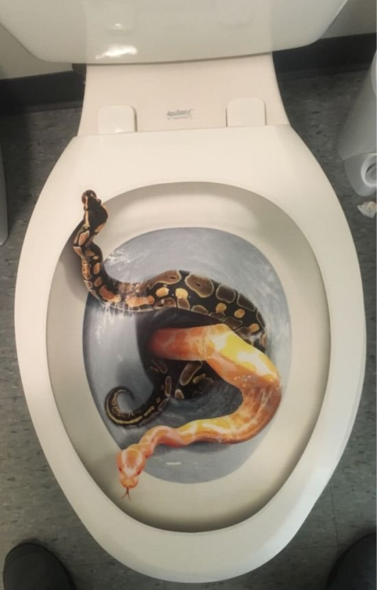 После этой фотки я хожу на горшок...