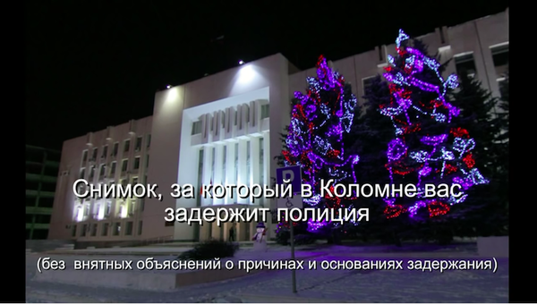 В Коломне мужчину задержали за фото новогодней елки