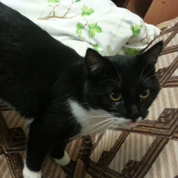 "Читайте и завидуйте."