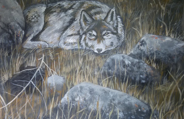 ��� ��������� �������