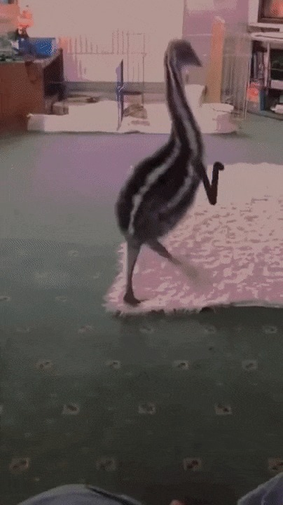 .  ) , , 