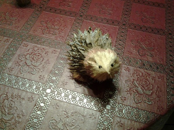 С каждой выпитой рюмкой, воображение расширяется. Вместо белочки пришло это.