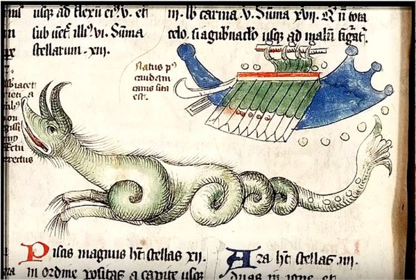 Bestiaries, or what was smoked in the Middle Ages. - NSFW, Bestiary, Animals, Whale, Interesting, Rave, Middle Ages, Longpost, Picture with text