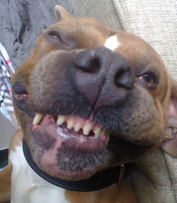 Мама, я оборотень