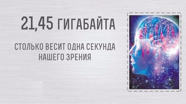 У меня только один вопрос как они это подсчитали?