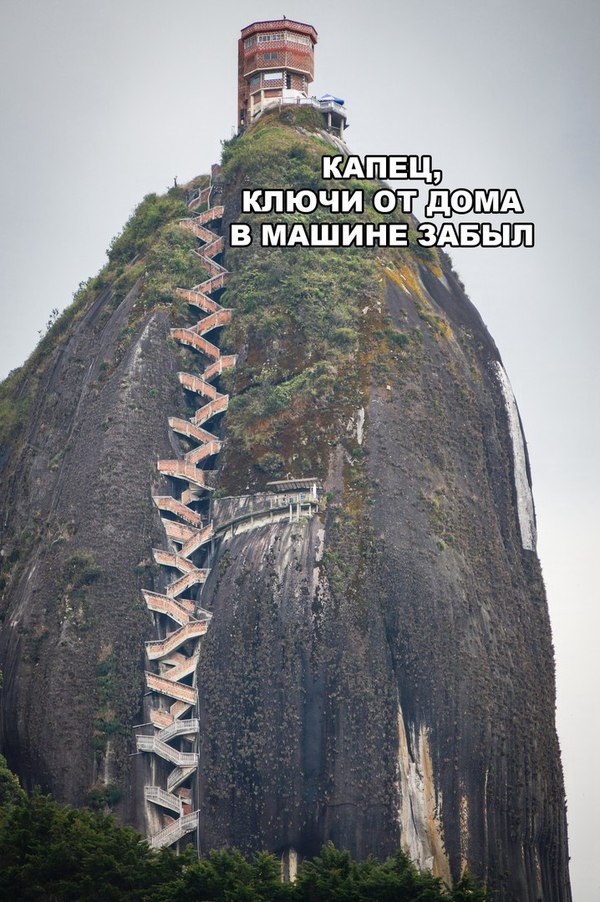 1452297820160212170 да что вы знаете о боли картинки