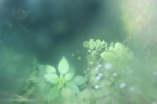 Обоина. Нейтрально зеленый рабочий стол.