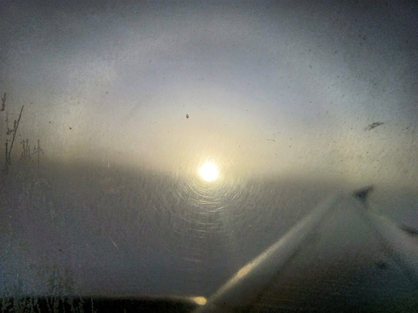 ���� �� ������ 11 ��