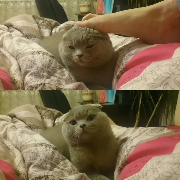 Это вам завтра на работу, а я няшный!