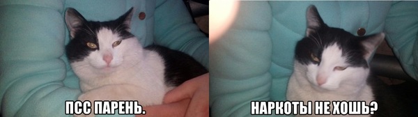 ���...������!