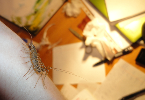 Здравствуй, человек!