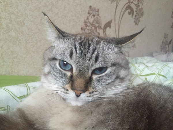 Случайно его разбудила !