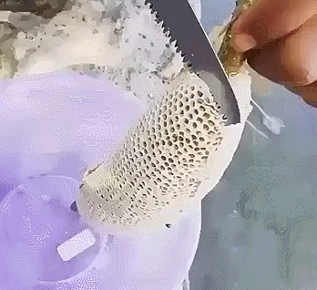 Мммм...Медленно срезаем мёд Мед, Соты, Гифка