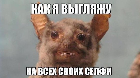 О самострелах