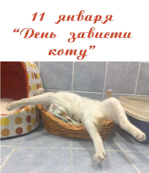 11 ������