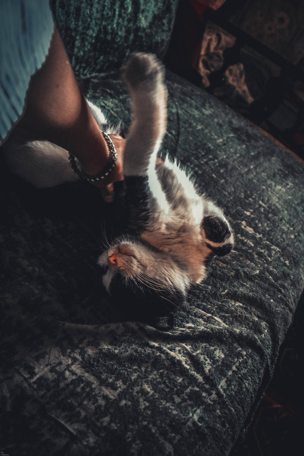 Потрогай меня :3