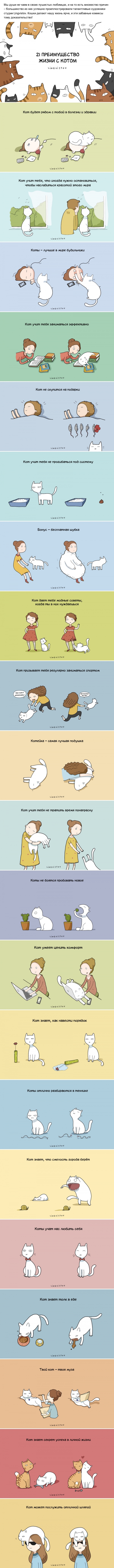 21 преимущество жизни с котом